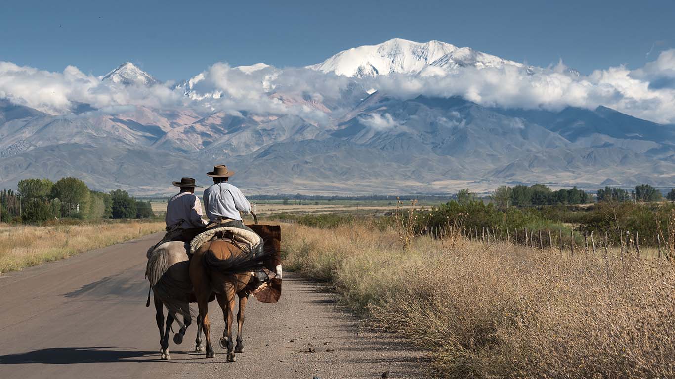 Wine By the Vines: Argentina