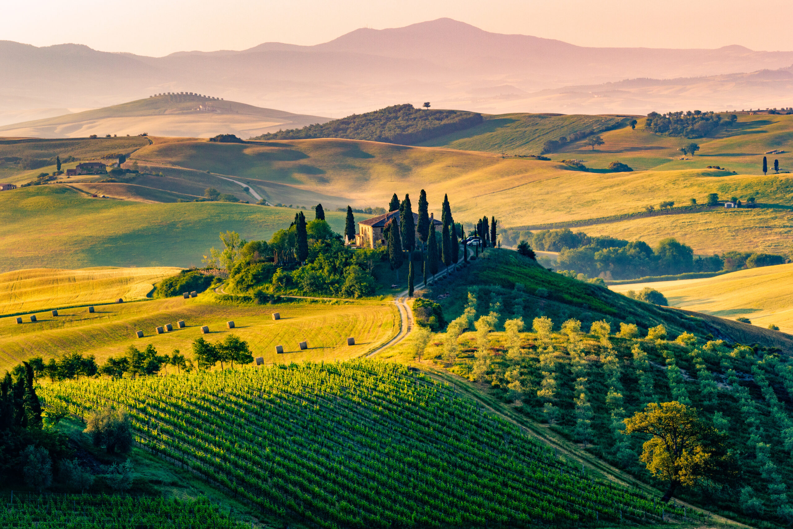 Wine By the Vines: Tuscany
